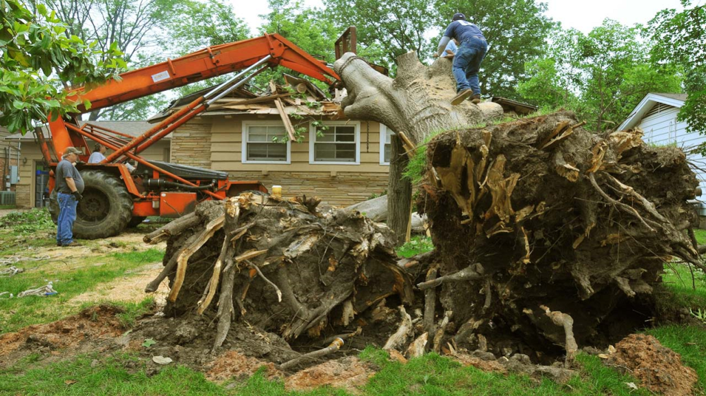 Tree Removal Services 6 Best Demolition services in Fort Mill, SC