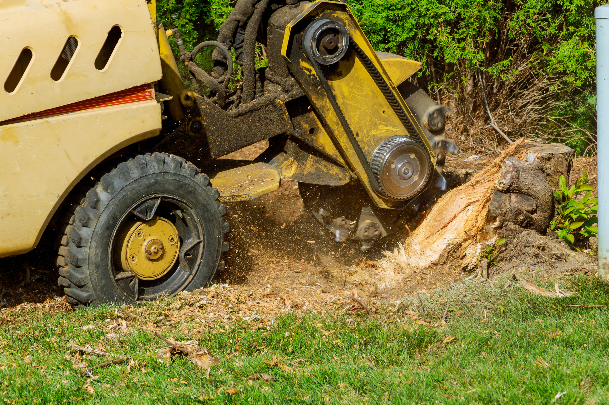 Waxhaw, NC 2 Land Cleaning Services